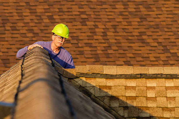 Best Roof Gutter Cleaning  in Bryan, TX